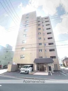 キャロット13の画像