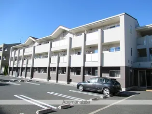 グレース向中野の画像