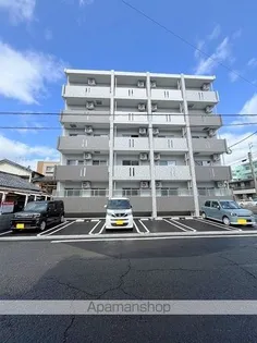 ラファエラの画像