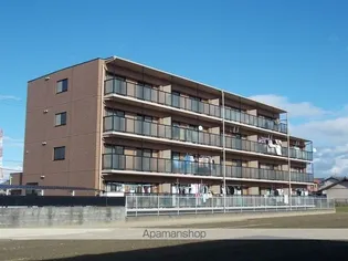 グレイス丹羽の画像