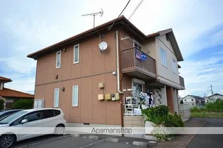 SHAMAISONの画像