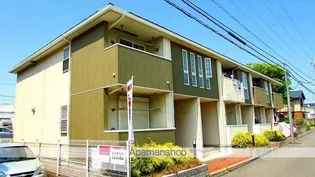 パッハロ アスールの画像