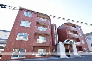 トータス亀田の画像