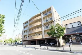 ルネスティエラの画像