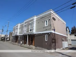 サンフラワーの画像