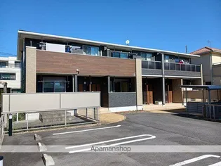 ハナミズキの画像