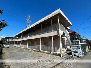 エバーグリーンの画像