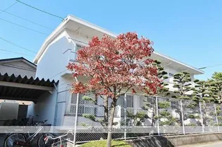 メゾンオレンジ1【2階】の外観
