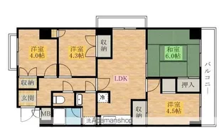 パレ・プルミエール【604号室】の間取り