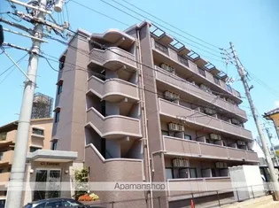 シーズ上西の画像