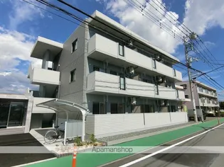 ユズソラーナの画像