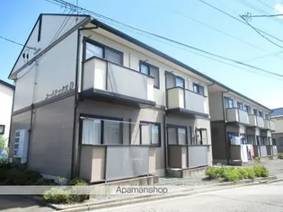 コートラックスDの画像