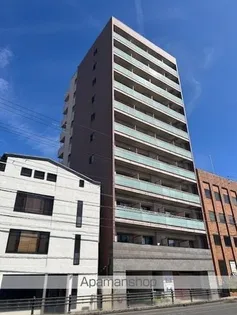 セトルはまおおつの画像