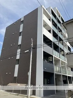 エーデルワイスの画像