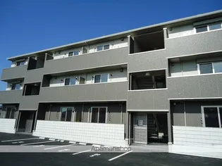 アプリコット美里の画像