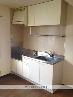 フレグランス阪南C.D棟【115号室】のキッチン