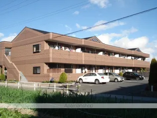 セイントクルーズⅡの画像