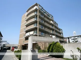 アコール隆豊の画像