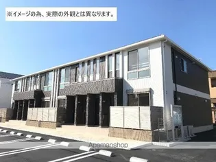 シラソルの画像