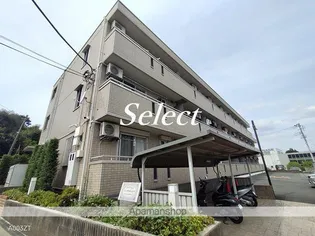 サニーフラット三ツ沢の画像