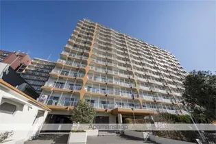 ルネ吉祥寺【11階】の外観