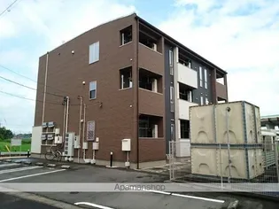 フェリーチェ ヒバリの画像