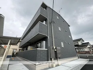 ミニョンサンクチノの画像