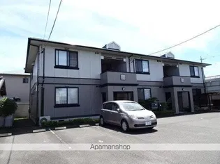 ムスカリの画像