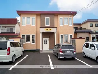 メイプルの画像