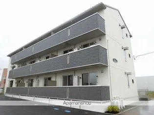 グロリアの画像