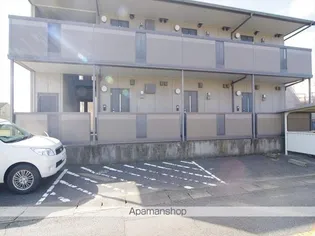 花の木スプリングの画像