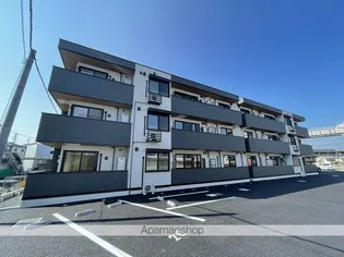 ガーベラ・グレイス【3階】の外観