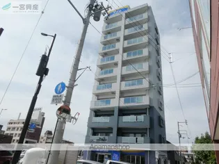 サザン ステラの画像