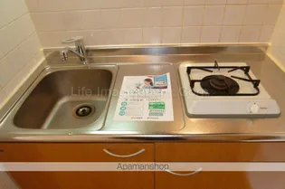 リバーレイクヒルズ【1階】の内装