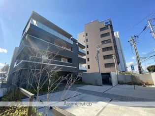 QUALISTA DEDEの画像