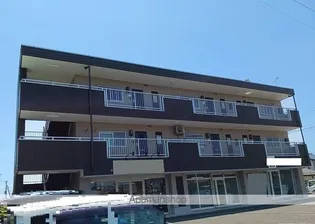 サニーヒルオオツキの画像