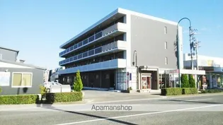 プラシードの画像