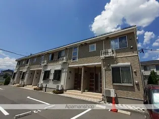 サンフラワーBの画像