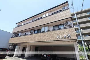パレオ21の画像