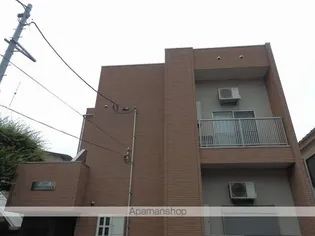 サザンパラダイスの画像