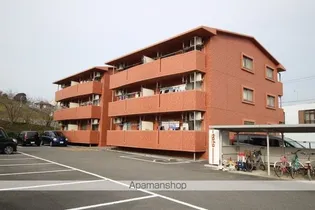 エヴァーグリーンの画像
