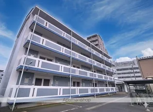 サザンセレストの画像
