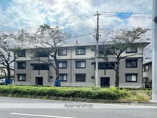 ハイカムールSTの画像