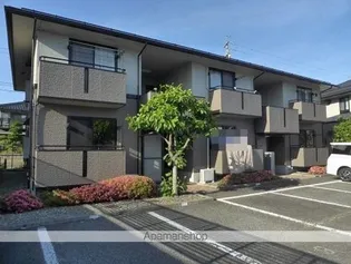 ピュア アムール Bの画像