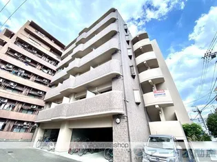 エル ミオーレⅢの画像