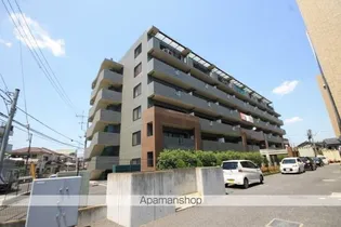 アクシスソメイの画像