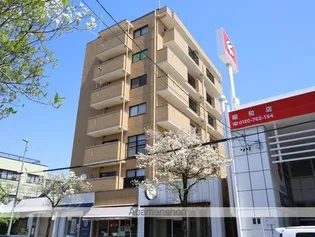 メイフェア塩付の画像