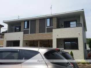 グローヴの画像