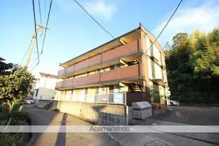 アンジェラの画像