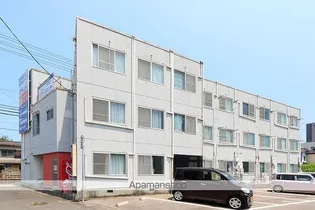 プレシャスタイムSUNSの画像